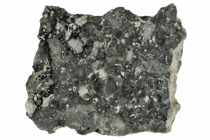 Polished Lunar Meteorite ( g) Slice - Adrar #355992